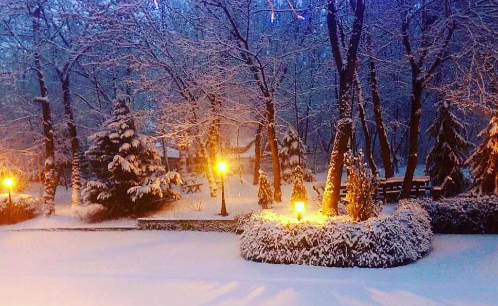 Villa Forest Belgrad Exterior foto